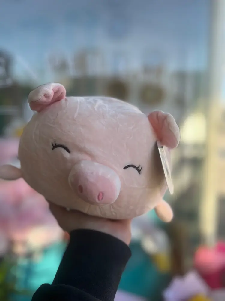 Peluche Chanchito