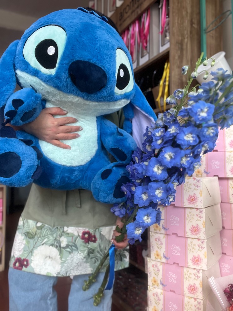 Kit azul