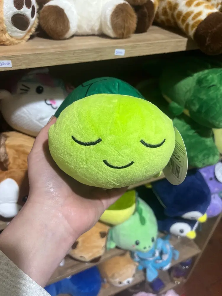 Peluche squishy tortuga